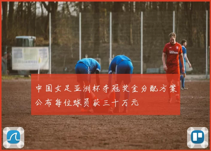 中国女足亚洲杯夺冠奖金分配方案公布每位球员获三十万元