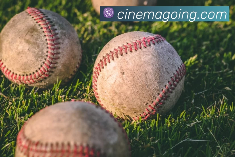 三亿(集团)体育科技有限公司官网发展历程